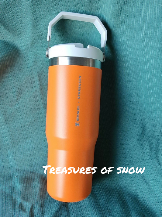 Stanley Adventure Quencher 40oz Tumbler - Flame – Treasures of Snow