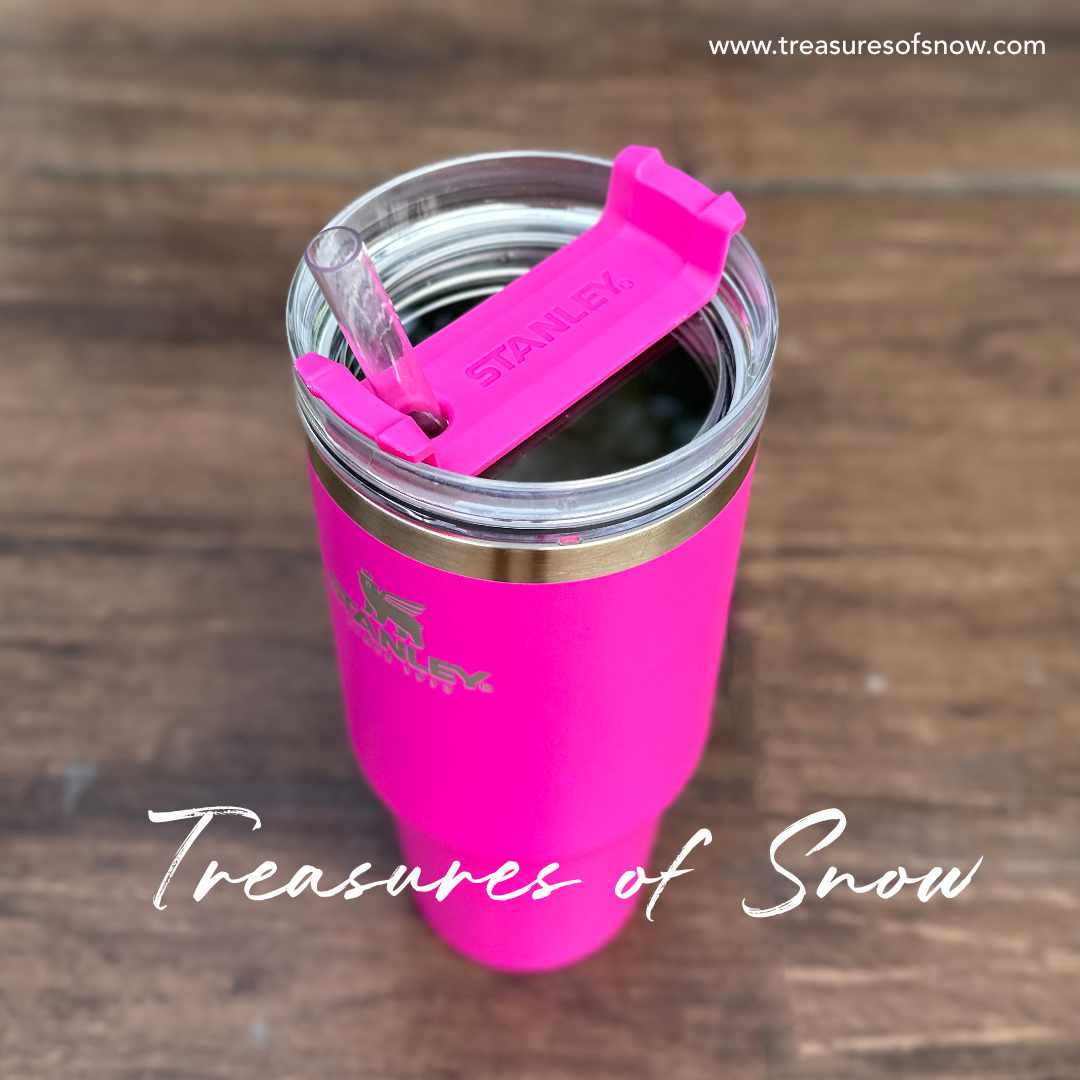 BNWT STANLEY 40 oz QuENCHER TUMBLER CAMELIA (hot pink) Barbie Pink