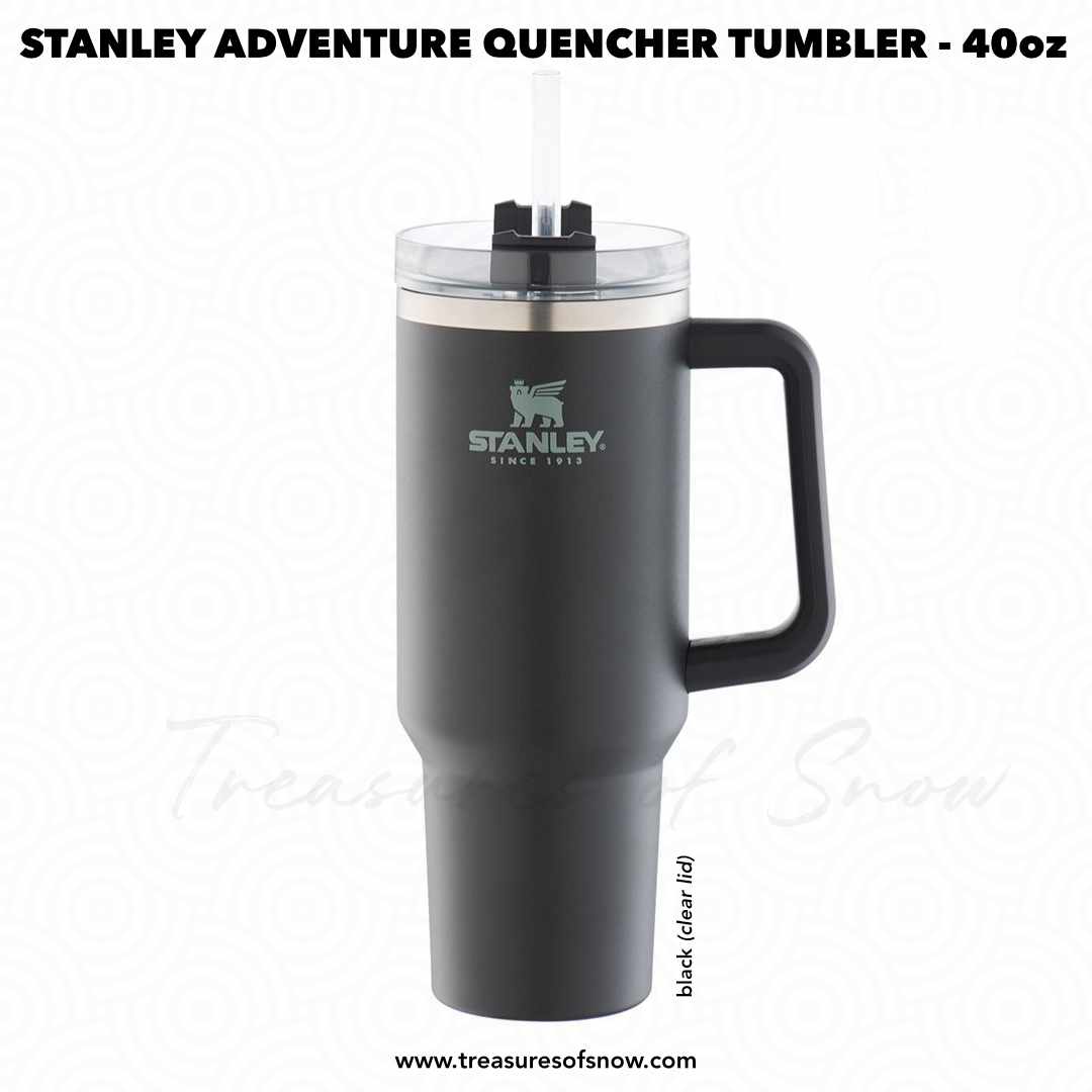 Stanley Quencher 40oz Tumbler - Soft Touch Matte Orchid